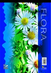 1 ks 14080/4b Fl�ra 67g
