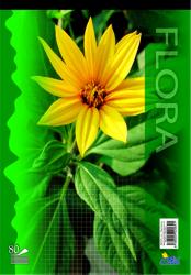 1 ks 15085/4b Fl�ra